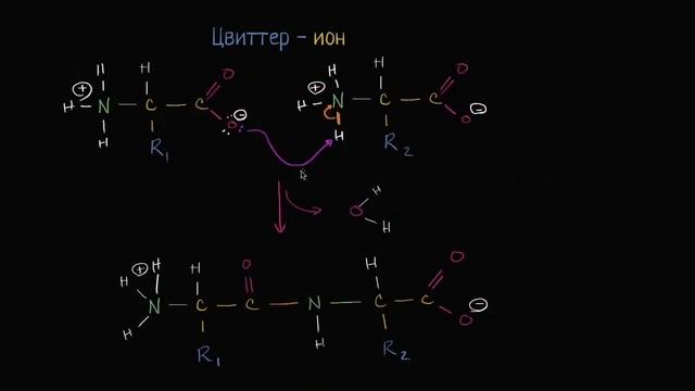Рекомендуем к просмотру! Повторим вместе! Что мы знаем о белках? Рекомендуем к просмотру) смотреть онлайн
