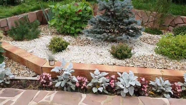 Многолетняя клумба. Уход за растениями. Работа над ошибками. смотреть онлайн