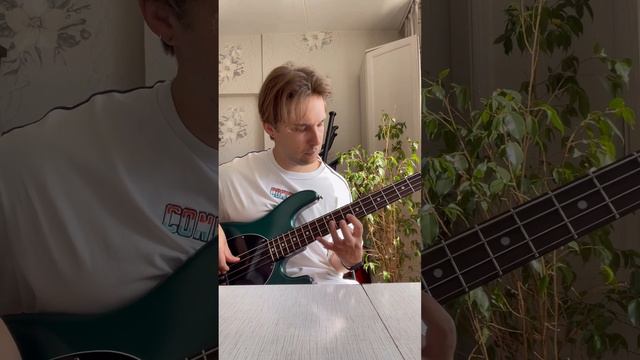 Music man SUB bass USA смотреть онлайн
