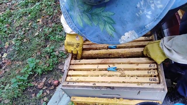 Сборка пчел в зиму, Отбор корпусов