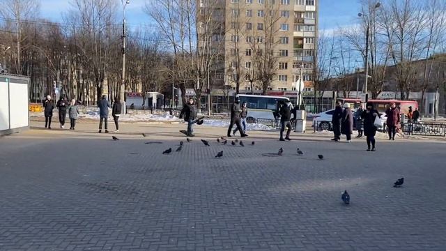 Работа в такси Эконом Москва. Смена 11.03.2022 смотреть онлайн