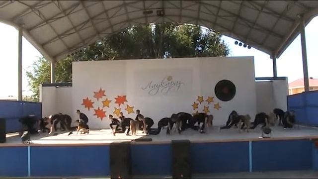 Современный танец - танцуют все старшие смотреть онлайн