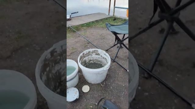 Как Наловить Большой Тарани И Карася. Рыбалка смотреть онлайн