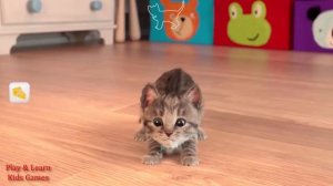 Игры Little Kitten играть онлайн бесплатно - прохождение  уровни 2019 - Игры для  детей