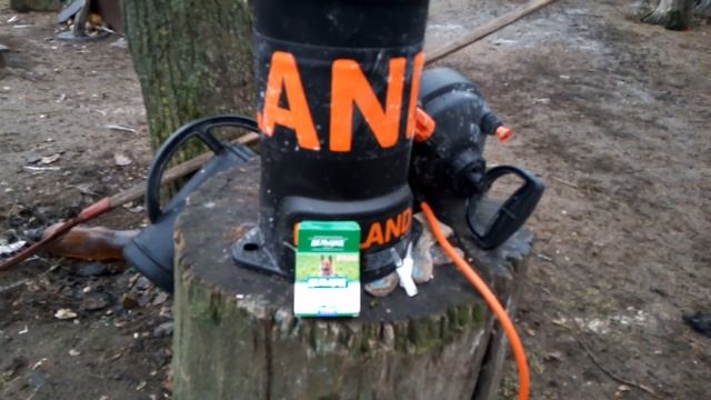 Обработка быков от паразитов.