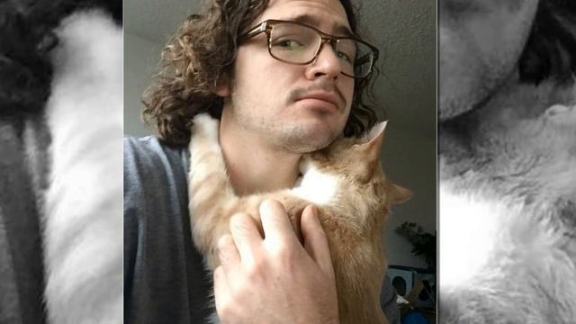 Может они были знакомы в прошлой жизни? Невероятная привязанность кота! смотреть онлайн