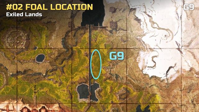 All Foal Locations: Where to find Horses - 2024 Guide | Conan Exiles смотреть онлайн