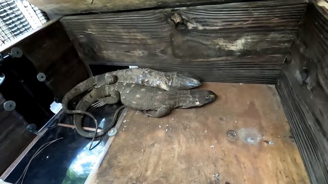 Incredible Drone Tour Of Kamp Kenan!