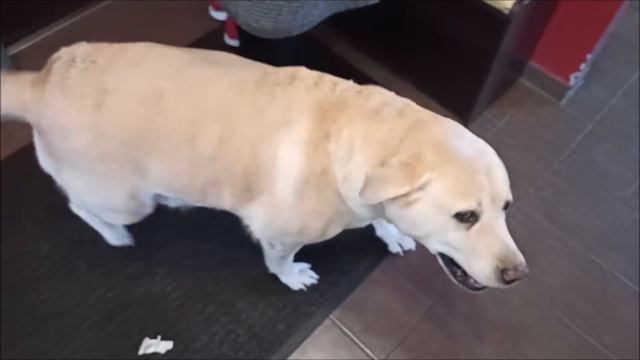 Дядя, дядя, дядя.