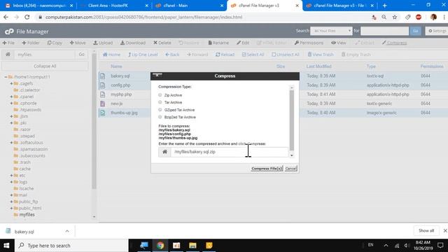 2 - Files Section - Learn File Manager All Features-8 in Urdu/Hindi | Professional skills смотреть онлайн
