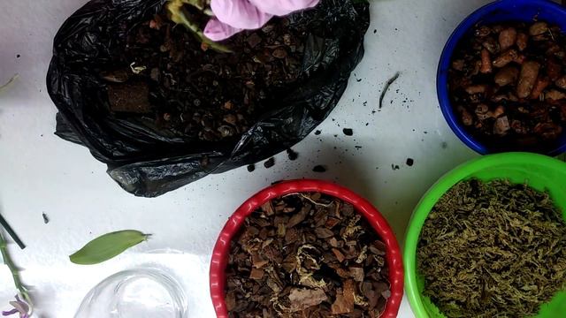 Посадка в закрытую систему. Леодора с сюрпризом. смотреть онлайн