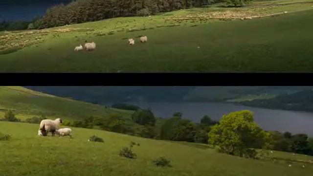 ПО ШОТЛАНДИИ / IN SCOTLAND