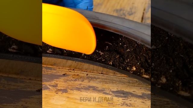 Как вырастить любое растение в домашних условиях || Умные советы для садоводства смотреть онлайн