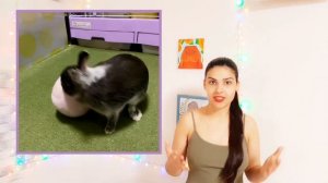 Как играть с декоративными кроликами и нужно ли им это?