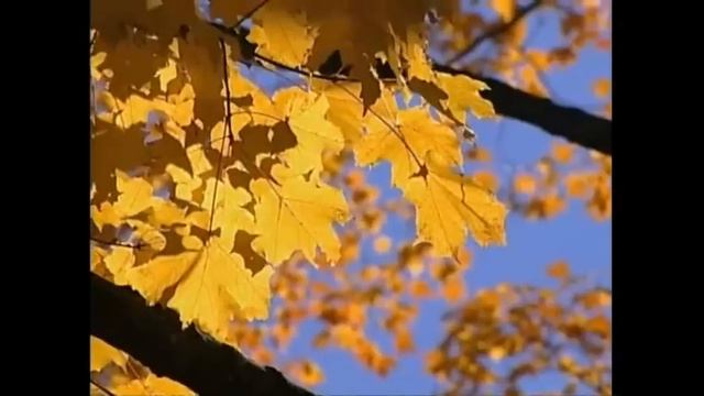 Georgia O'Keeffe Biography смотреть онлайн