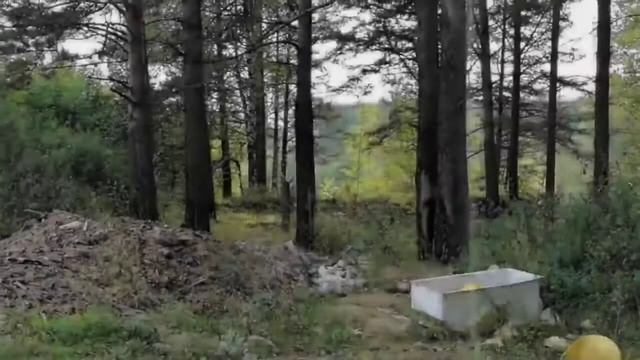 Свалка в лесу ? смотреть онлайн