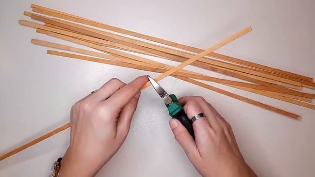 Tuvalet Kağıdı ve Yapraklar ile Bakın Ne Yaptım /Geri Dönüşüm Fikri ♻️? смотреть онлайн