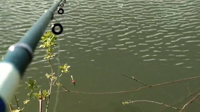 Ловля карася на хлеб. смотреть онлайн