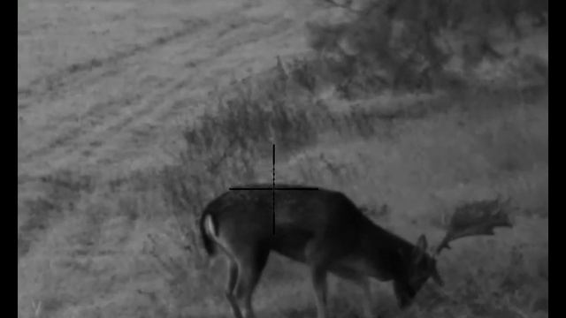 Yukon Sightline N455 смотреть онлайн