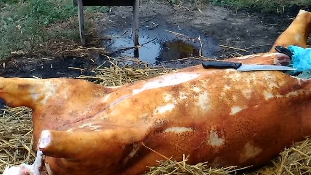 Как обделать свинью, Ч-1 ПОЛНАЯ ВЕРСИЯ смотреть онлайн