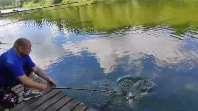 Осетрина, Рыбалка в Красногорске смотреть онлайн