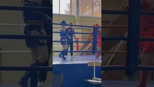 тайский бокс смотреть онлайн