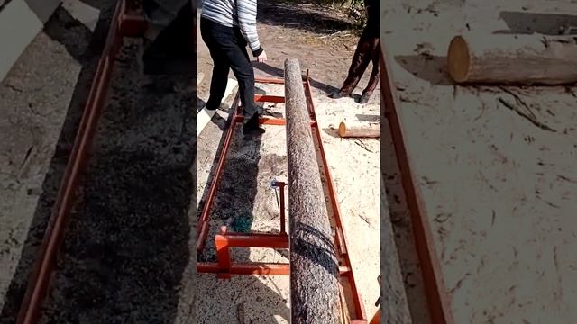Шинная пилорама своими руками смотреть онлайн