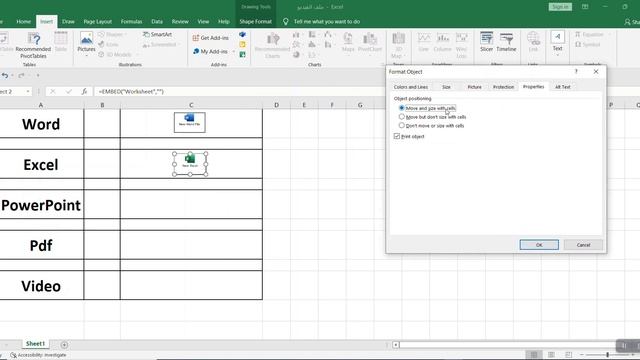 How Insert Object Word Excel PowerPoint Outlook Pdf Video Files in Excel Cell смотреть онлайн
