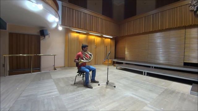 Mozart on natural horn смотреть онлайн