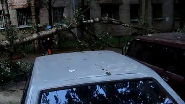 На машину упало дерево смотреть онлайн