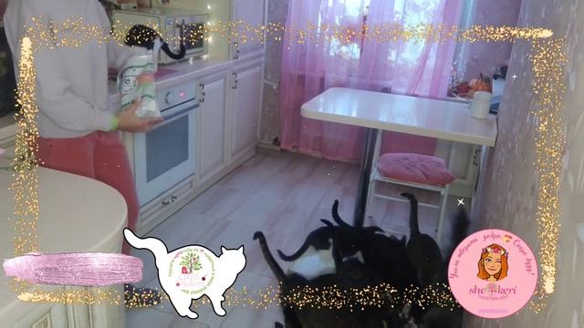 Вопрос:?" Ответьте, на что вы тратите донаты?". Ответ: "А на что ещё их можно тратить ? смотреть онлайн