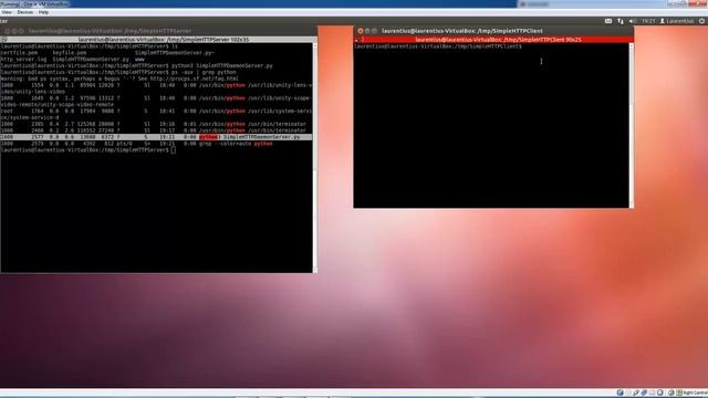 Python Simple Http Client-Server смотреть онлайн