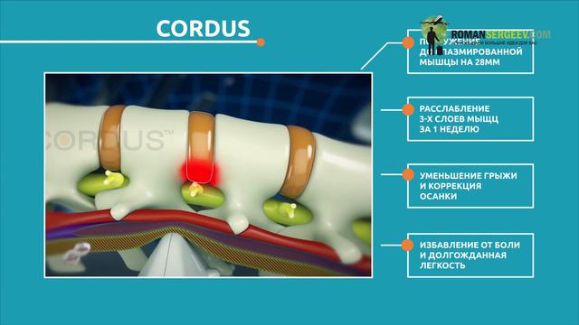 Cordus | Моушн-дизайн видео смотреть онлайн