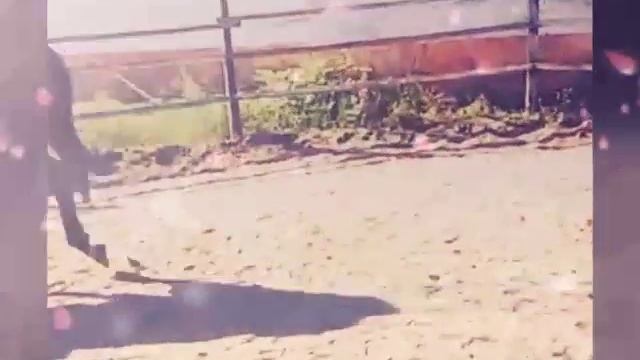 Авторитет работает в бочке) смотреть онлайн