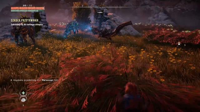 Horizon 1 Zero dawn PS4 * part 02 * ENG/PL * no comment смотреть онлайн