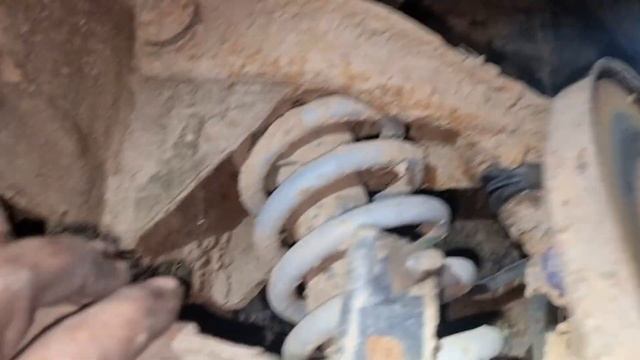 подготовка к ипподрому . смотреть онлайн