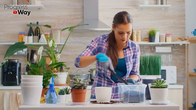 Когда И Как Черенковать Пеларгонию! 100% Укоренение Черенков! смотреть онлайн