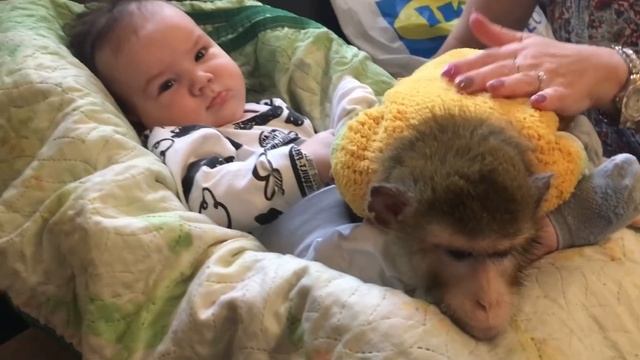 Ребята и Зверята Захар и Катя смотреть онлайн