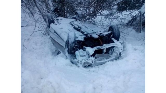 Собака которая совершила невероятное , история спасения как в фильме смотреть онлайн