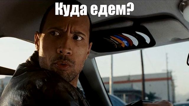 Можно ли взять взрослую собаку вместо щенка