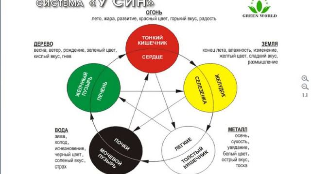 Мухачева Марина Применение продукции Грин Ворлд по кругу У Син смотреть онлайн