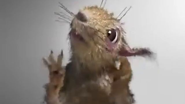 Страшная белка. смотреть онлайн