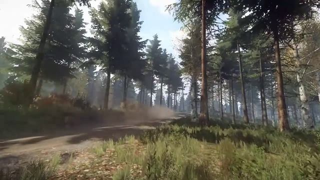 DiRT Rally 2.0 - Jämsä, Audi Sport Quatrro S1 E2 - Hannu Mikkola Tribute смотреть онлайн