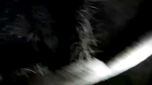 Ходили по лесу и наткнулись на старый погреб. А там...