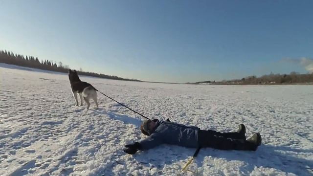 Буксировка в шлейке. Первые шаги. смотреть онлайн