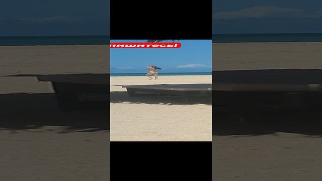 Девушки у бассейна и на пляже - остров ?️ Маргарита смотреть онлайн