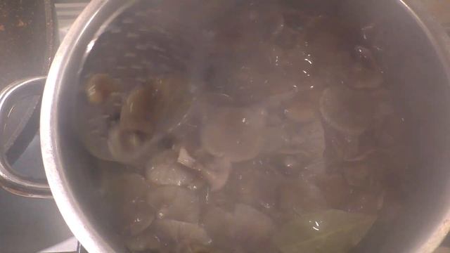 Опята Маринованные На зиму смотреть онлайн
