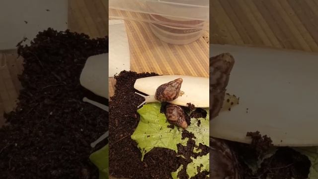 6 февраля 2023 г.