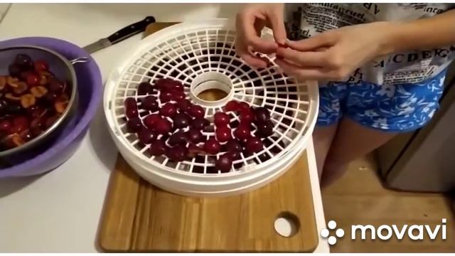 Сушу (вялю) черешню в электросушилке смотреть онлайн