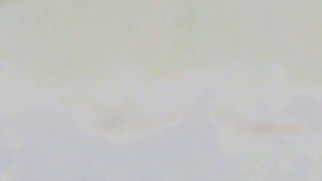 Осеннее путешествие к Центру Республики Коми... смотреть онлайн